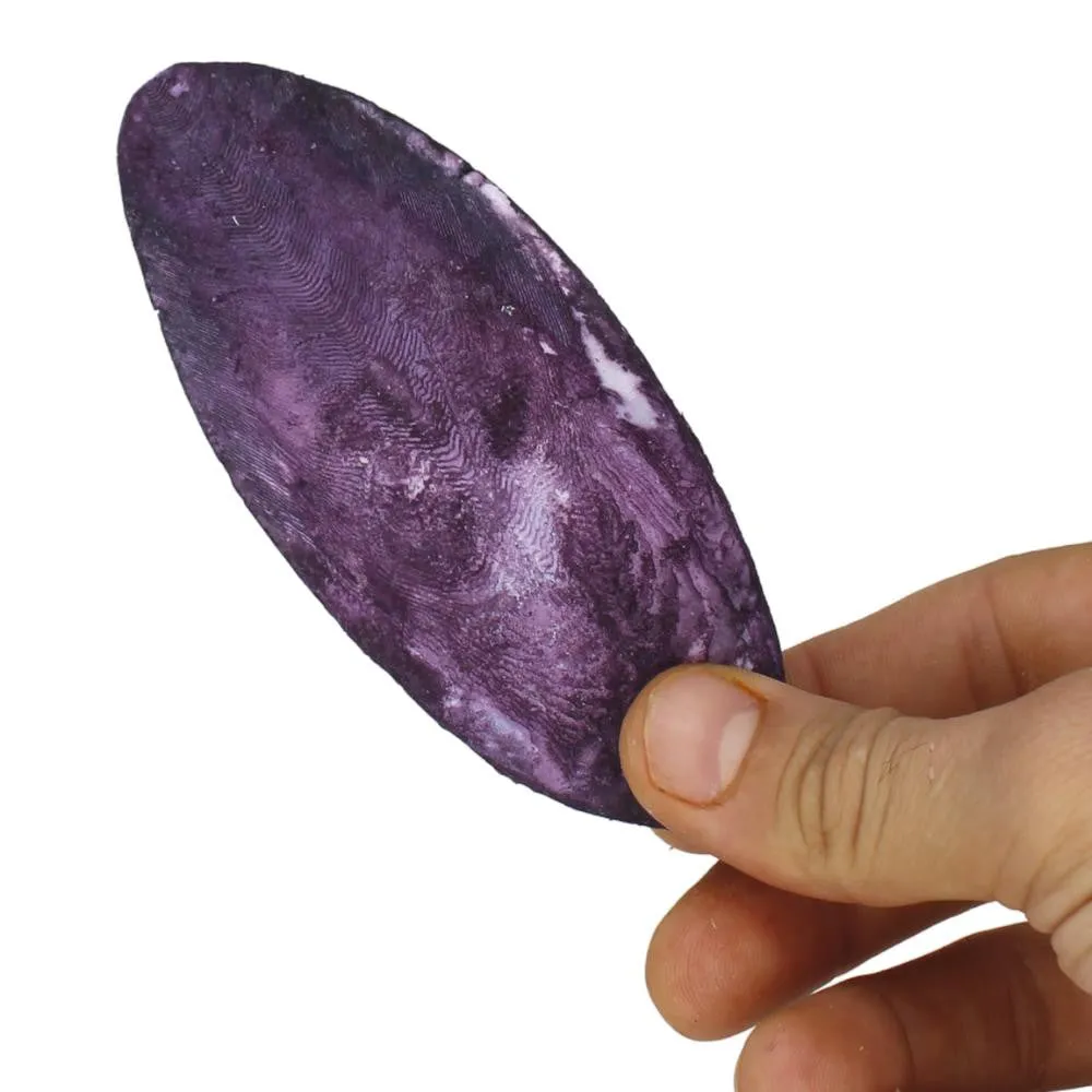 30005 Medium Cuttlebone Grape Flavor