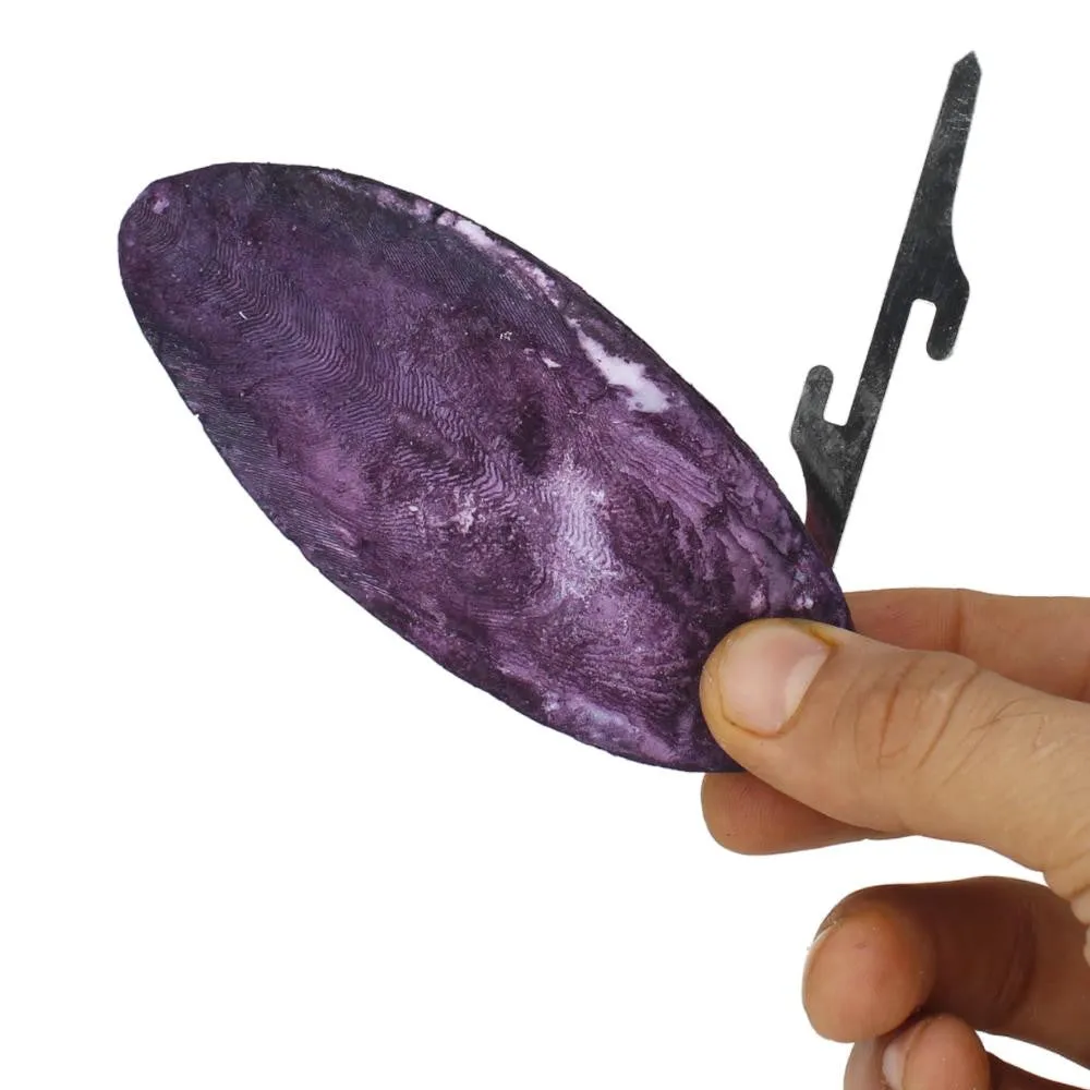30005 Medium Cuttlebone Grape Flavor
