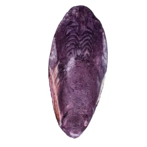 30005 Medium Cuttlebone Grape Flavor