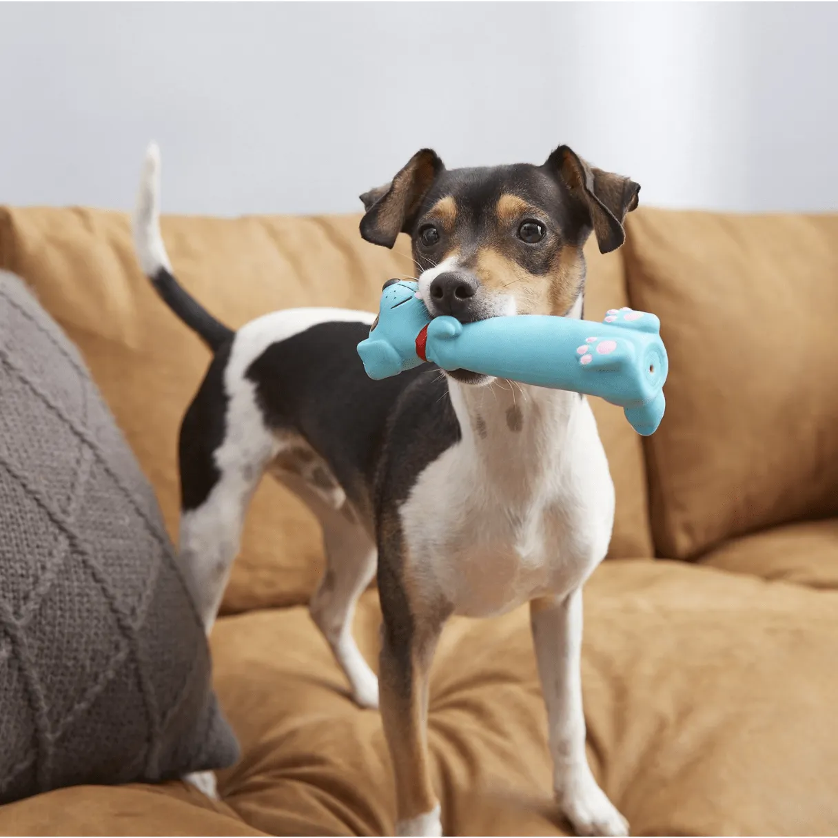 All Kind Latex Squeaky Puppy Toy