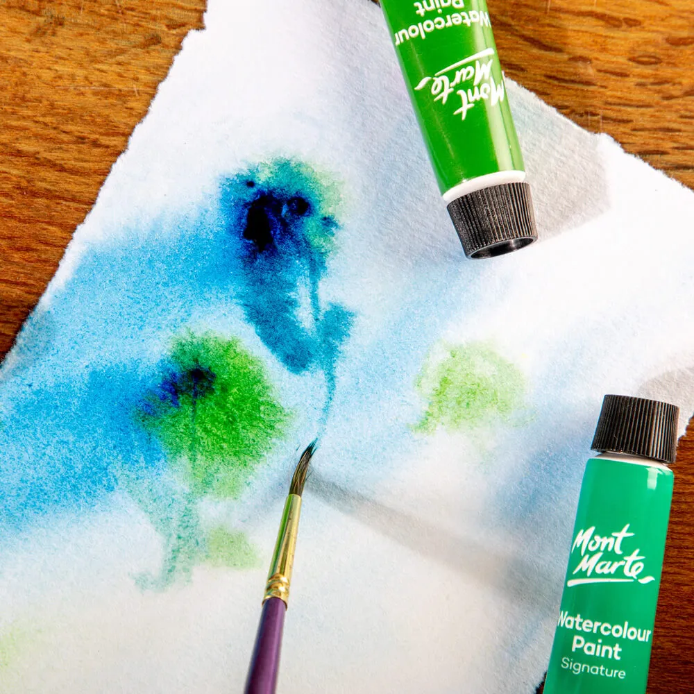 Artist Watercolour Brush Premium Sable Round 2