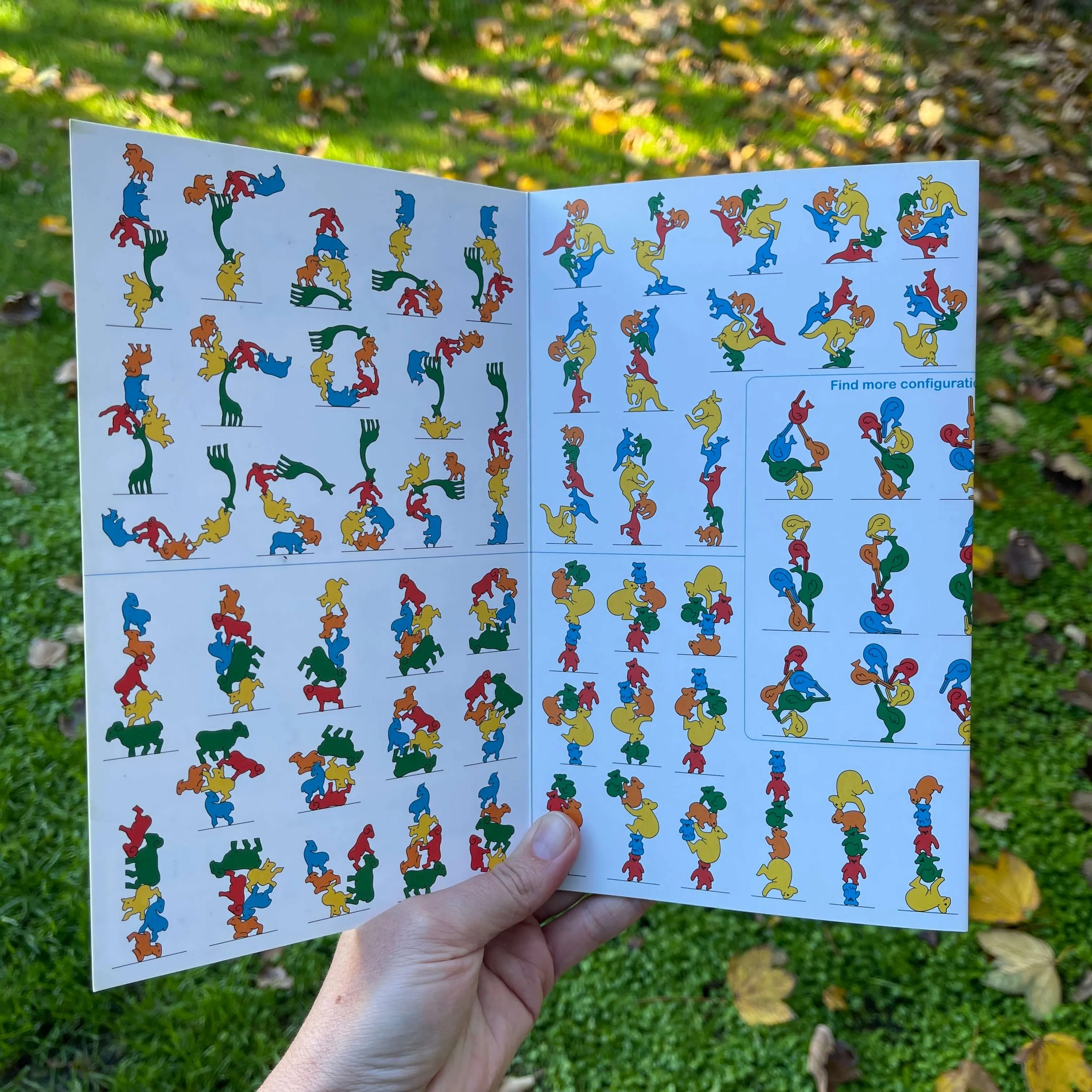 Balancing Jungle Animals