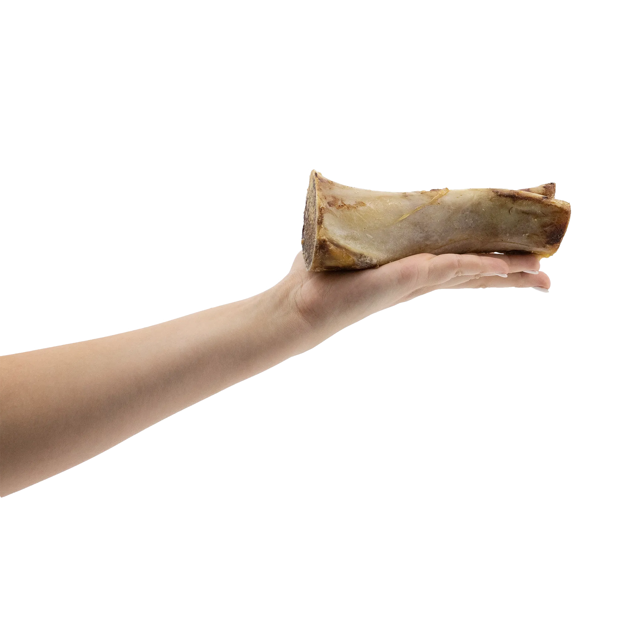 BarkNBig USA Bison Marrow Bone Dog Treat, 5-7"