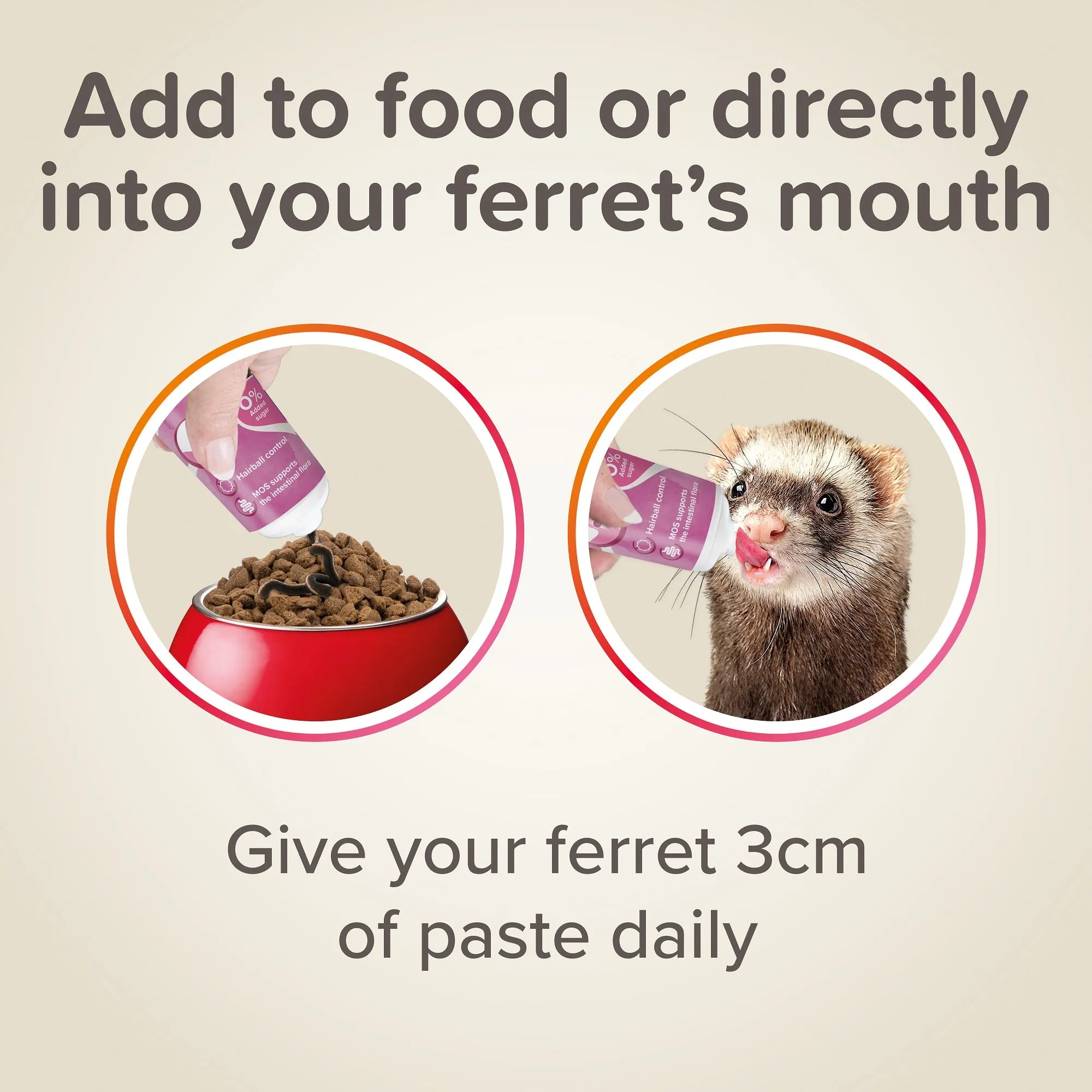 Beaphar | Small Pet Healthcare | Ferret Supplement | Vitamin & Malt Paste - 100g