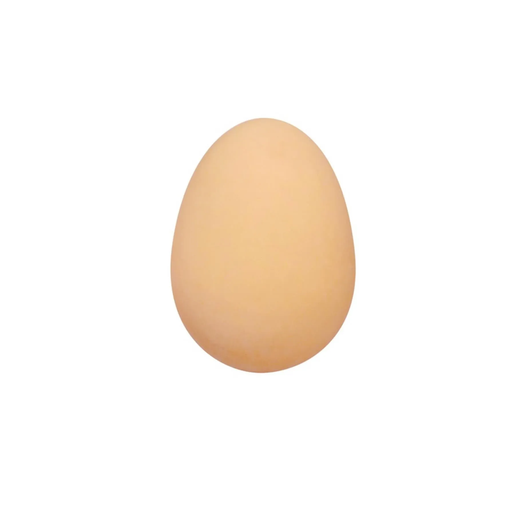 Bouncy Egg Toy