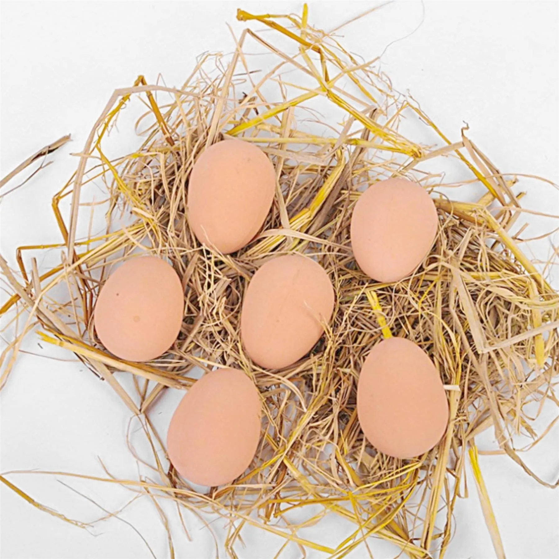 Bouncy Egg Toy