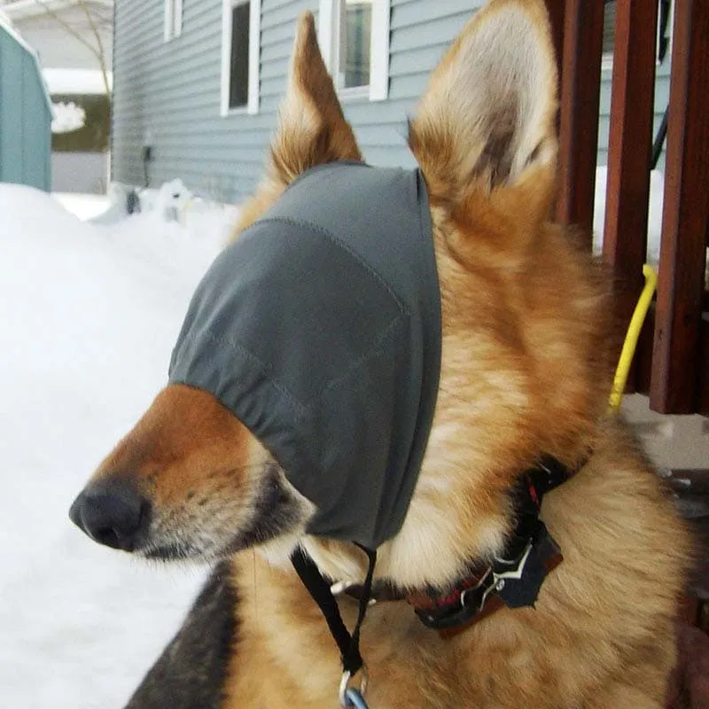 Calming Cap / ThunderCap from ThunderShirt, Dog Calming Aid