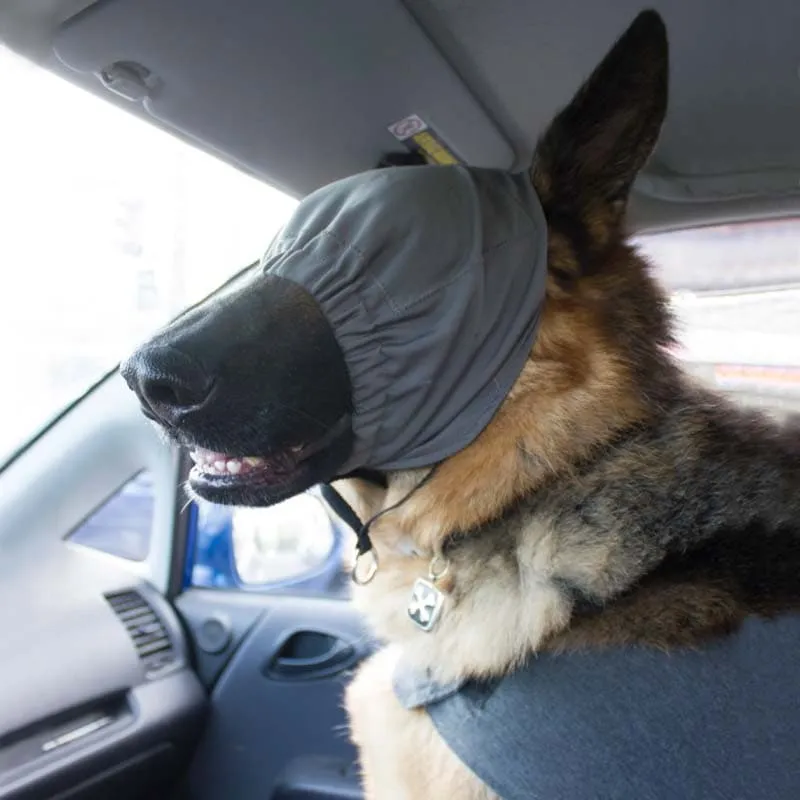 Calming Cap / ThunderCap from ThunderShirt, Dog Calming Aid