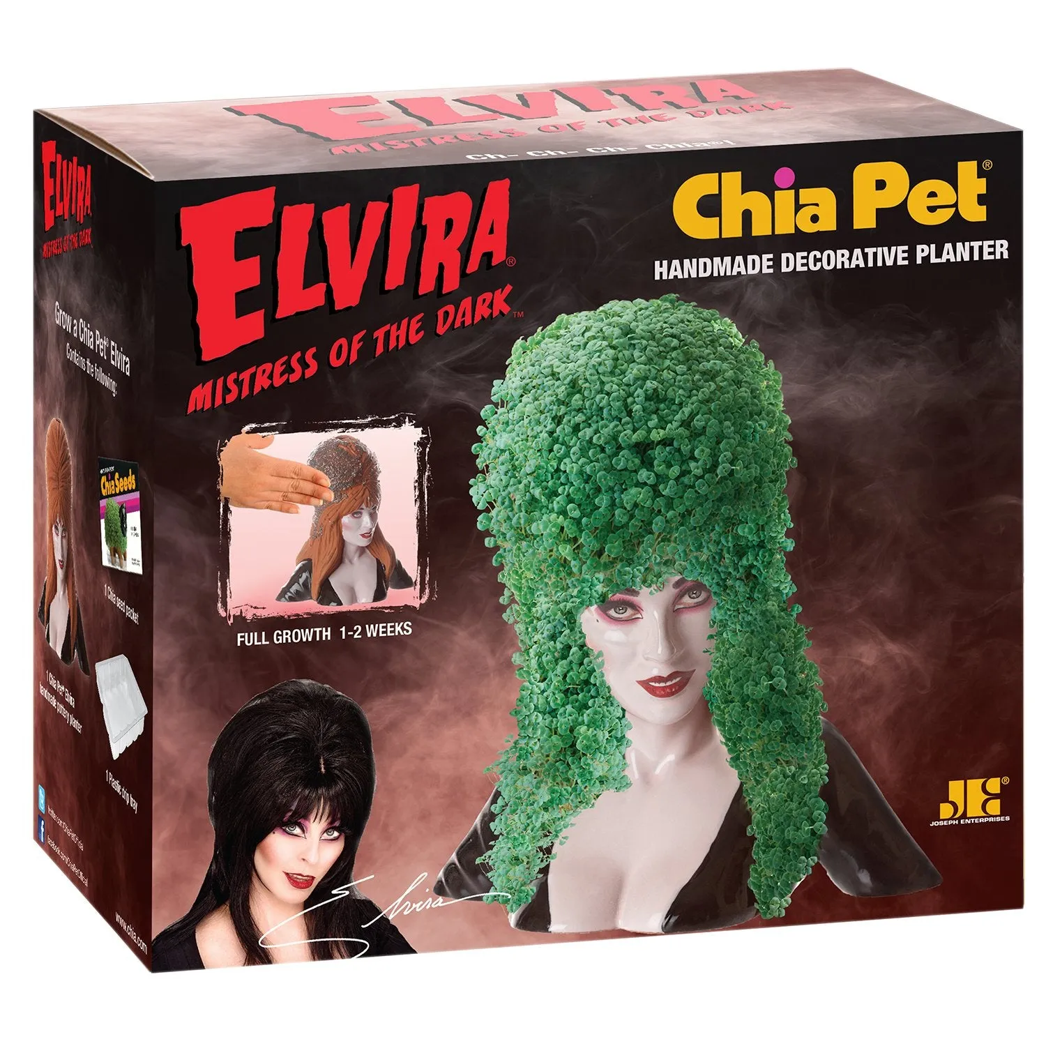 Chia Pet Planter - Elvira