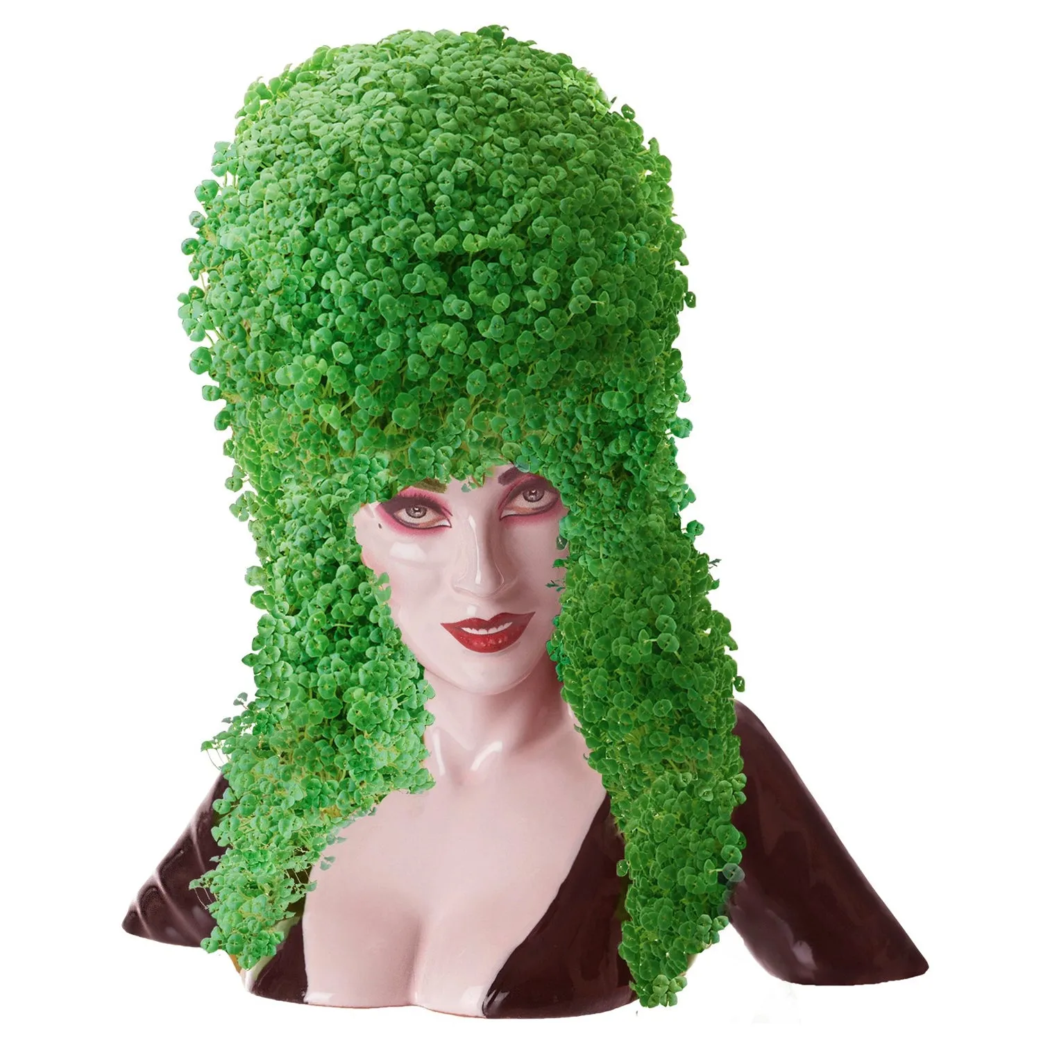 Chia Pet Planter - Elvira