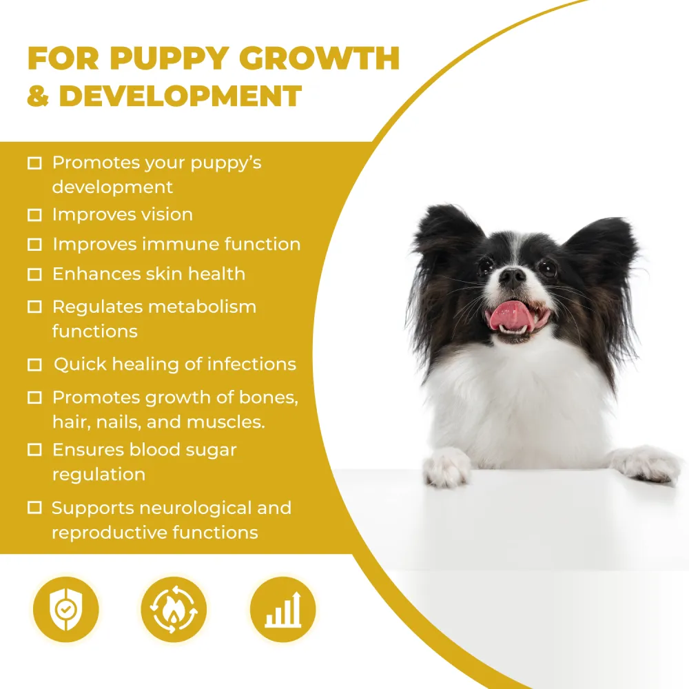 FurBall Story Cannivin Oral Nutritional Spray for Dogs