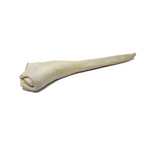 Home Range Full Length Bull Tail Dog Treat