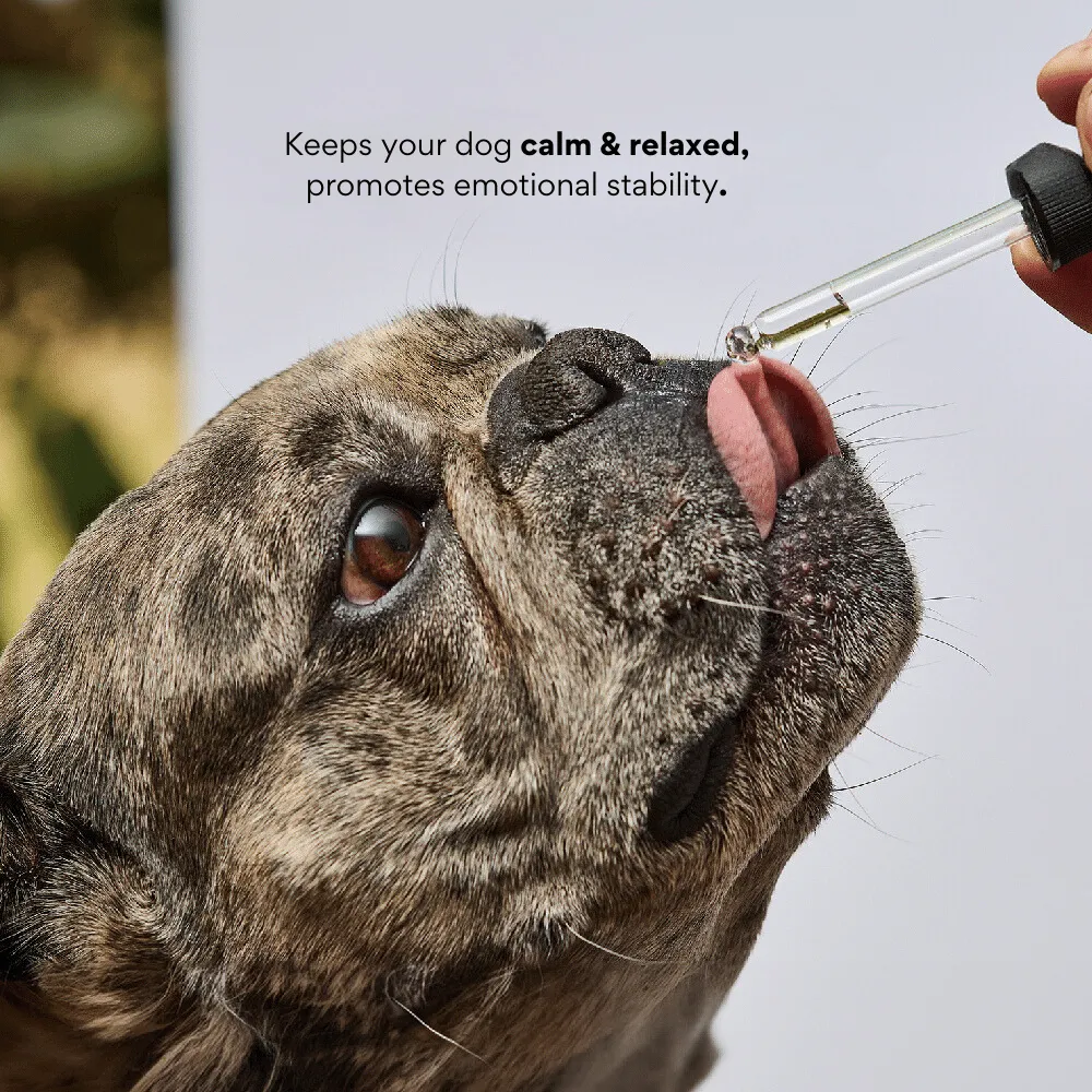 Kanu Pet Travel Flower Essence For Dog & Cat