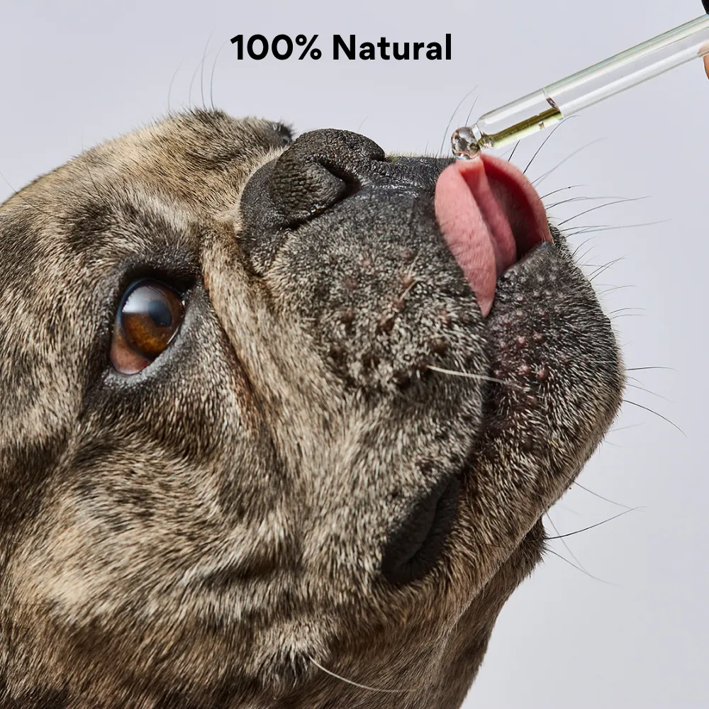 Kanu Pets No Fear Oil Essence, 100% Natural, Reduces Stress and Anxiety for Dogs and Cats