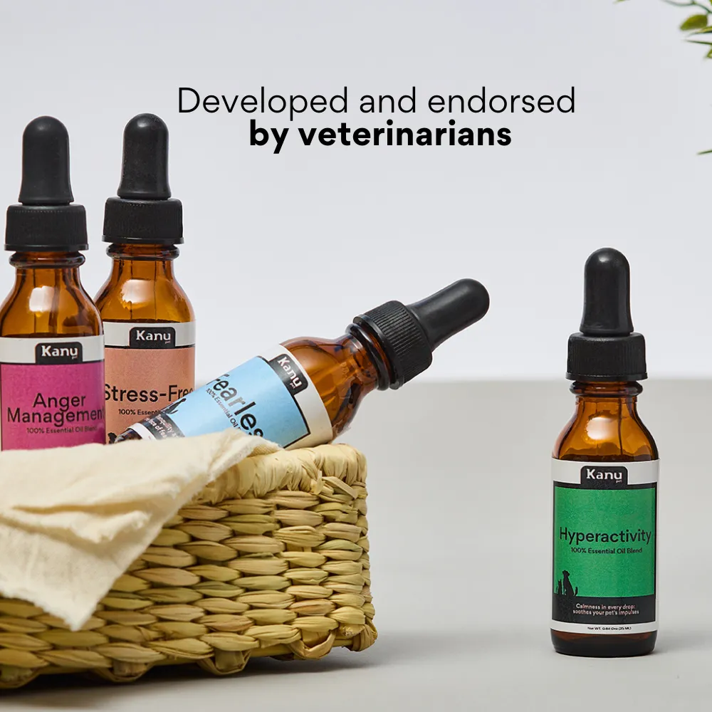 Kanu Pets No Fear Oil Essence, 100% Natural, Reduces Stress and Anxiety for Dogs and Cats