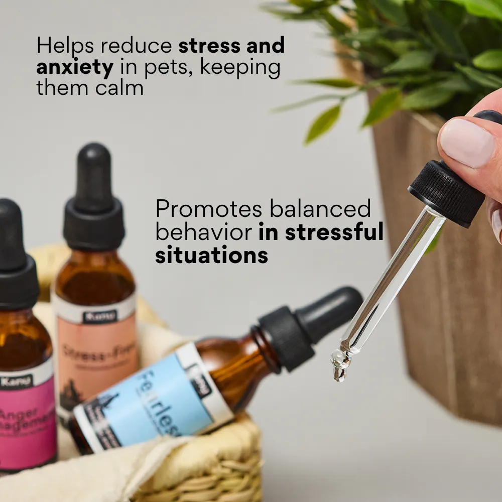 Kanu Pets No Fear Oil Essence, 100% Natural, Reduces Stress and Anxiety for Dogs and Cats
