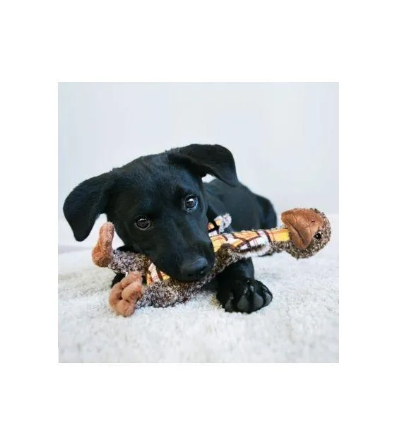 Kong Shaker Luvs Bird Dog Toy