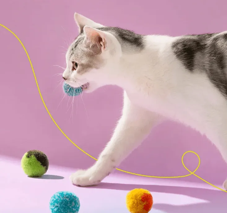 Mewoo - Furry Fling Pom Pom Ball