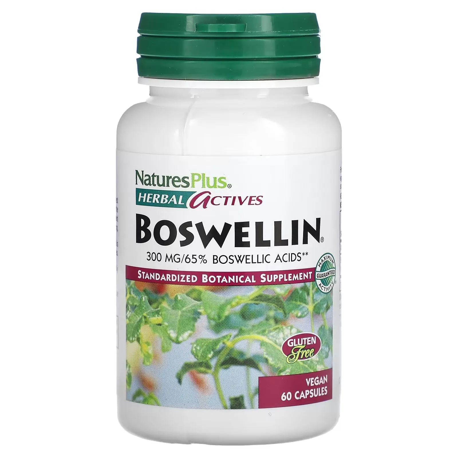 NaturesPlus Herbal Actives Boswellin, 300 mg, 60 Vegan Capsules