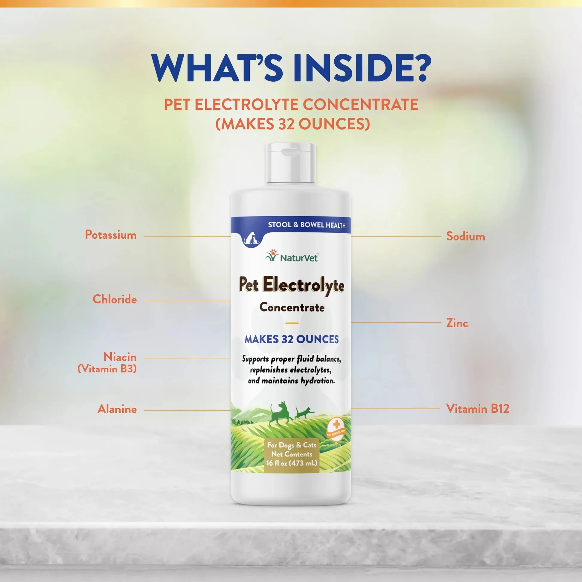 NaturVet Pet Electrolyte Concentrate 16oz