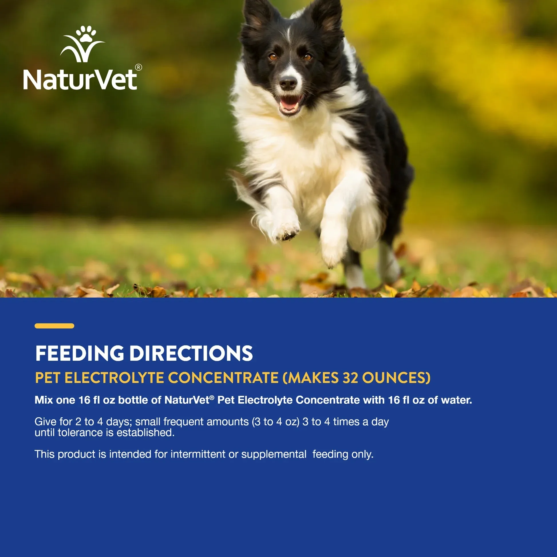 NaturVet Pet Electrolyte Concentrate 16oz