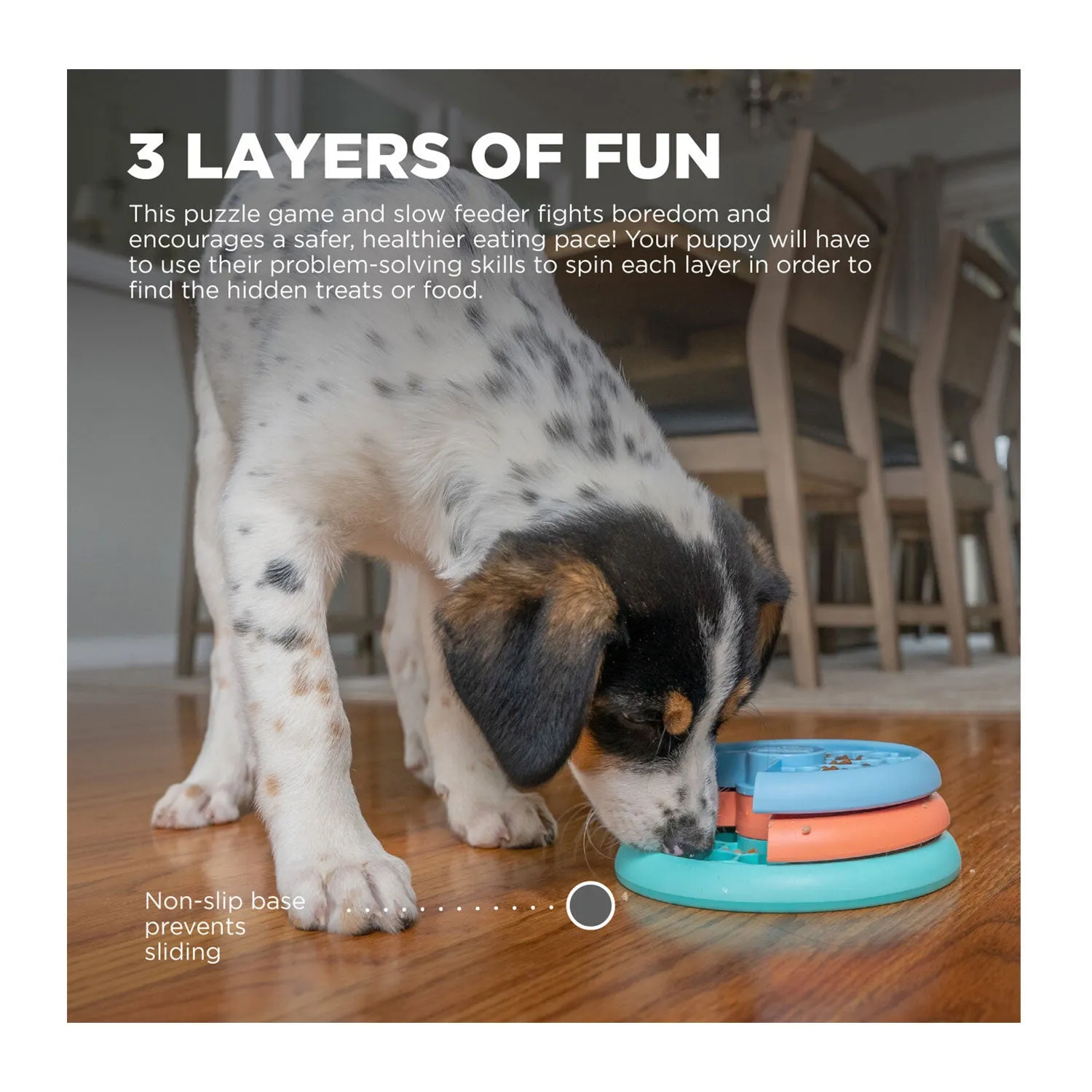 Outward Hound Puppy Lickin' Layers Slow Feeder Dog Bowl
