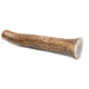 Prairie Dog Elk Antler Chews