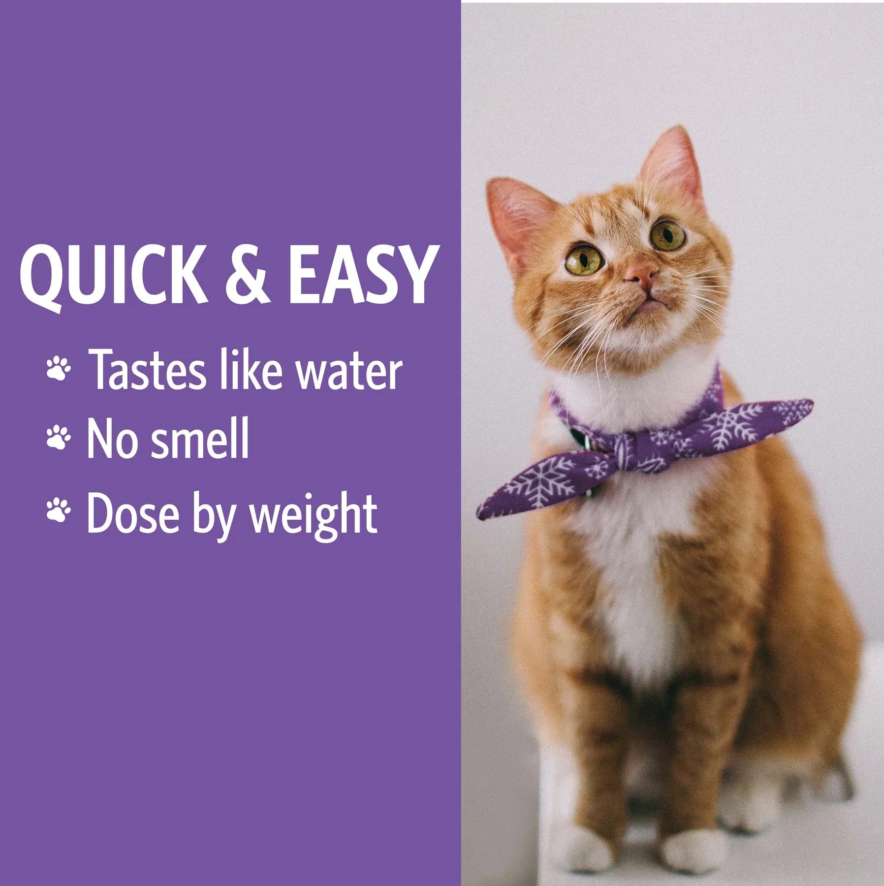 SOVEREIGN SILVER COLLOIDAL SILVER FOR PETS  2oz FINE MIST SPRAY