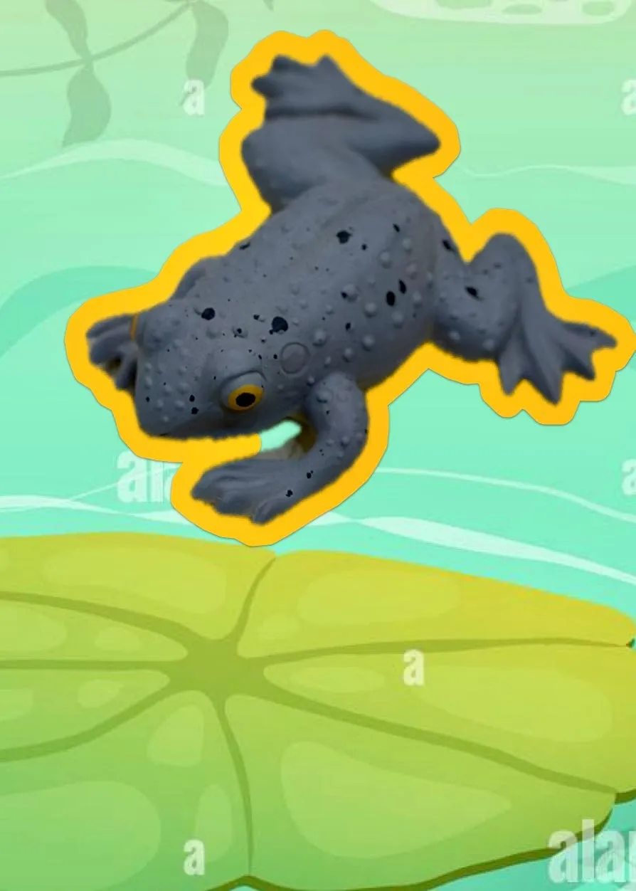 Squishy Frog Toy
