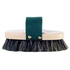 The Pro-Body Brush