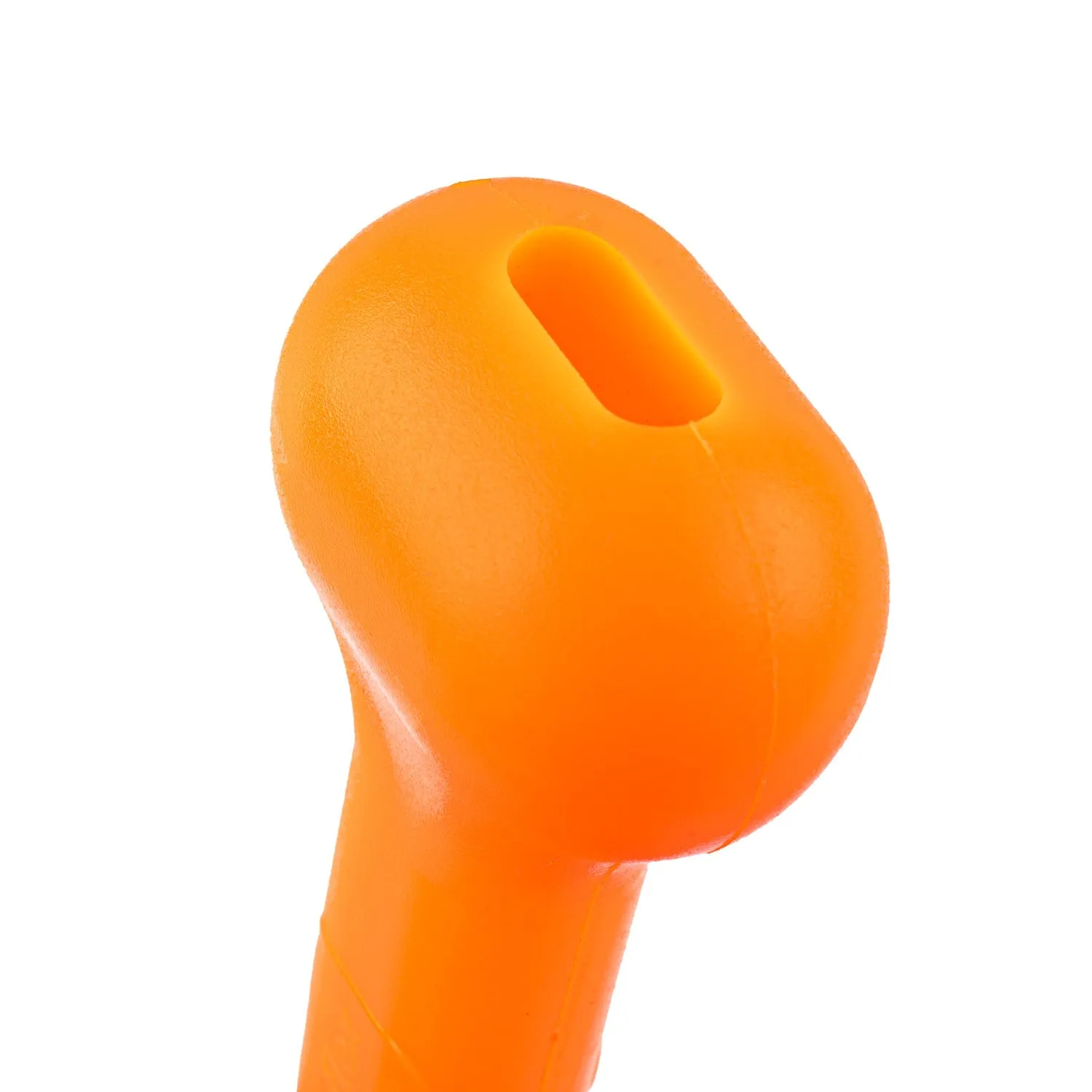 The Treat Bone