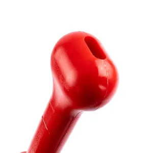 The Treat Bone